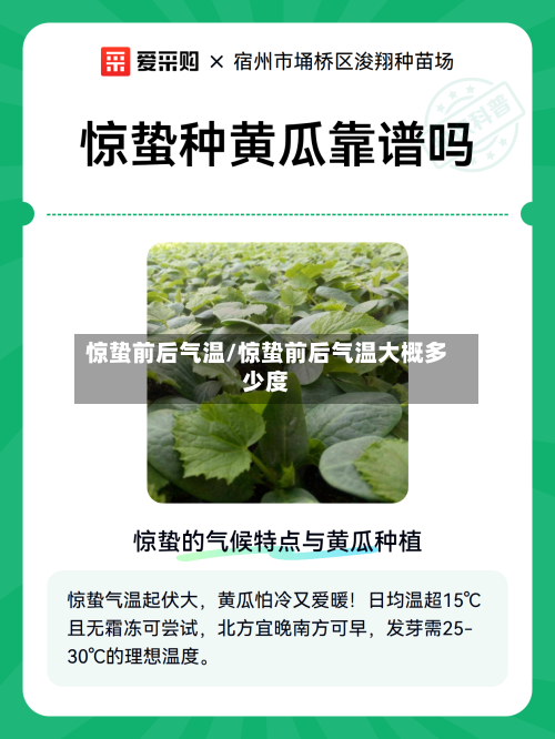惊蛰前后气温/惊蛰前后气温大概多少度-第2张图片