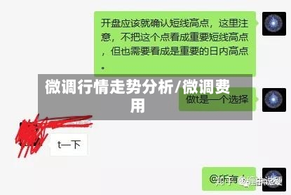 微调行情走势分析/微调费用-第2张图片