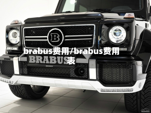 brabus费用/brabus费用表-第3张图片
