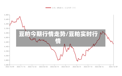 豆粕今期行情走势/豆粕实时行情