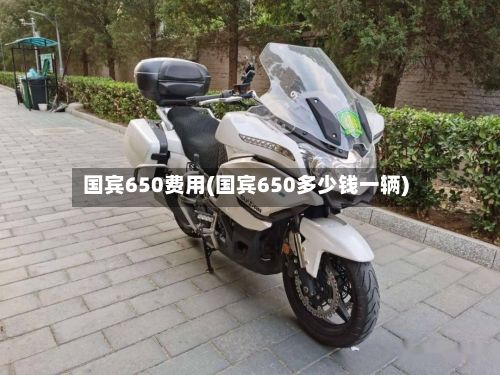 国宾650费用(国宾650多少钱一辆)