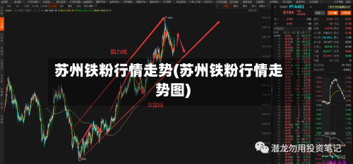苏州铁粉行情走势(苏州铁粉行情走势图)