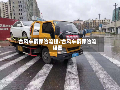台风车辆保险流程/台风车辆保险流程图