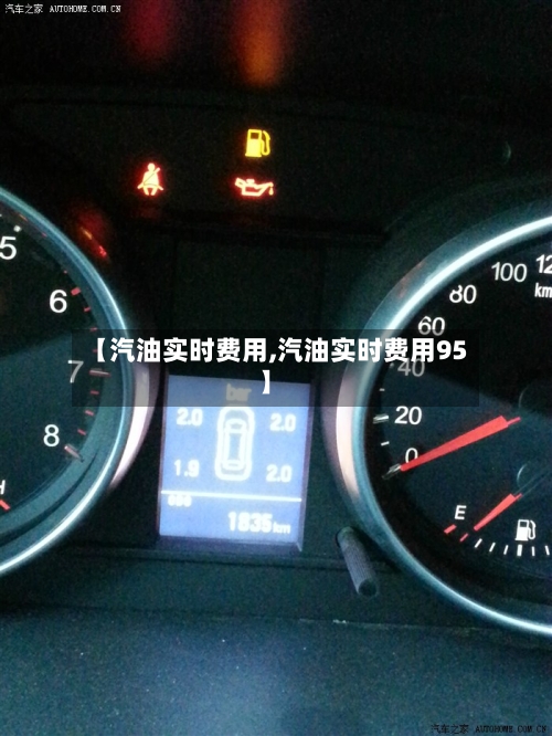 【汽油实时费用,汽油实时费用95】-第2张图片