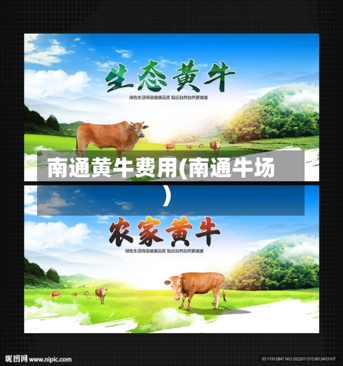 南通黄牛费用(南通牛场)-第1张图片