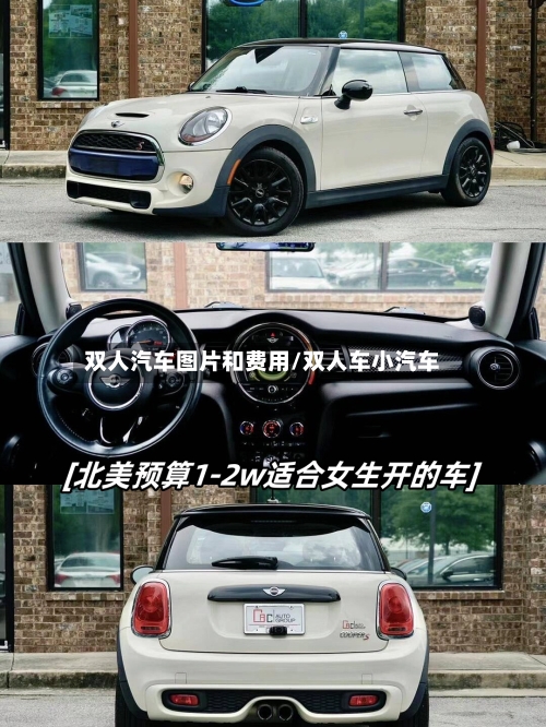 双人汽车图片和费用/双人车小汽车