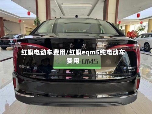 红旗电动车费用/红旗eqm5纯电动车费用-第3张图片