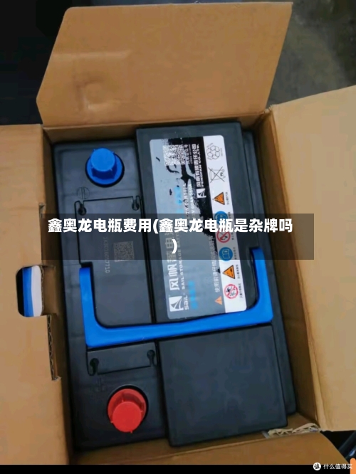 鑫奥龙电瓶费用(鑫奥龙电瓶是杂牌吗)
