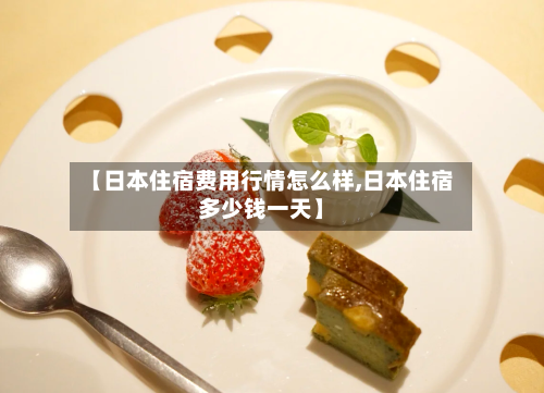 【日本住宿费用行情怎么样,日本住宿多少钱一天】