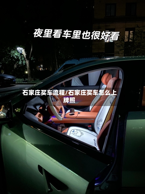 石家庄买车流程/石家庄买车怎么上牌照