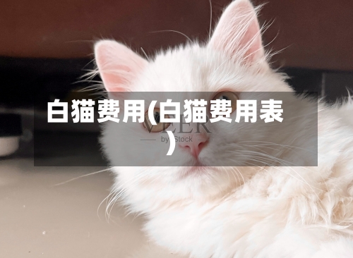白猫费用(白猫费用表)
