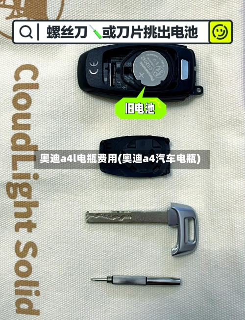 奥迪a4l电瓶费用(奥迪a4汽车电瓶)-第2张图片
