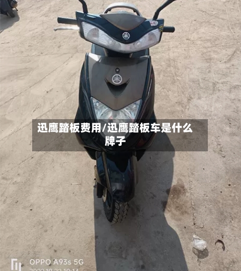 迅鹰踏板费用/迅鹰踏板车是什么牌子-第2张图片