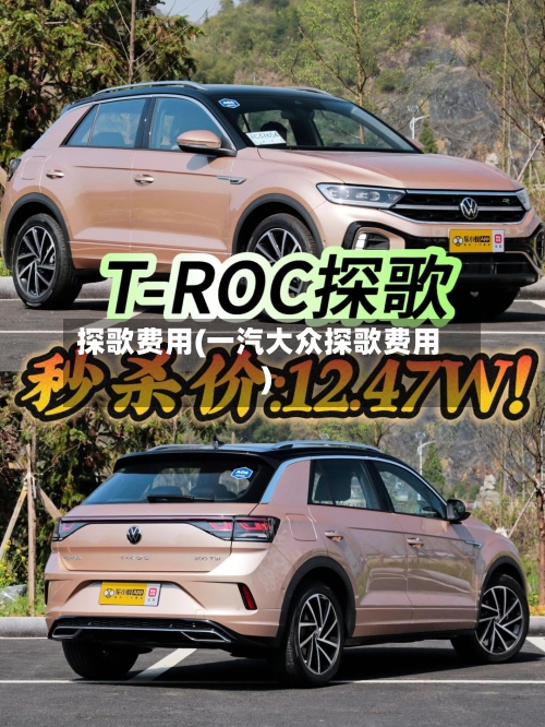 探歌费用(一汽大众探歌费用)-第2张图片