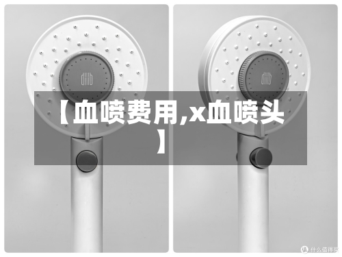 【血喷费用,x血喷头】