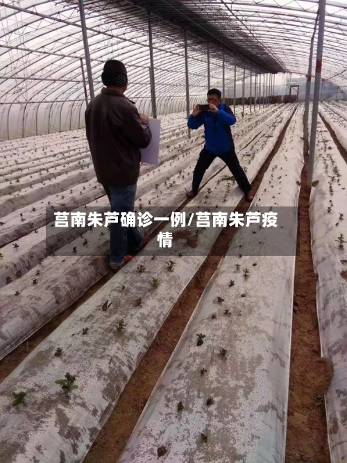 莒南朱芦确诊一例/莒南朱芦疫情-第3张图片