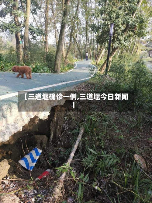 【三道堰确诊一例,三道堰今日新闻】