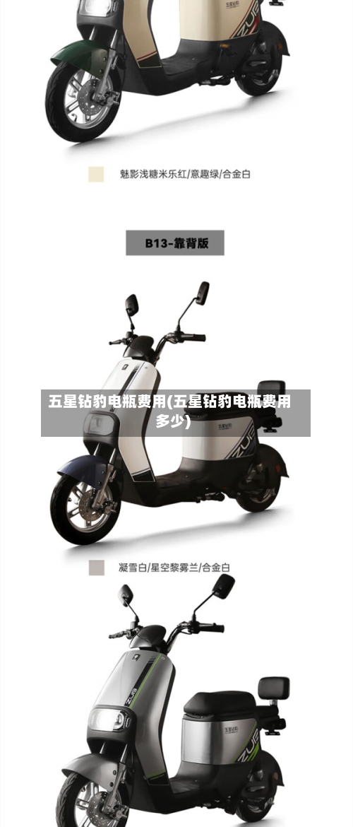 五星钻豹电瓶费用(五星钻豹电瓶费用多少)-第2张图片