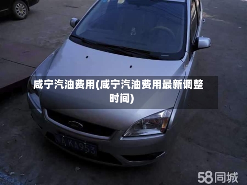 咸宁汽油费用(咸宁汽油费用最新调整时间)