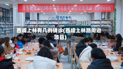 西咸上林有几例确诊(西咸上林路周边项目)-第2张图片